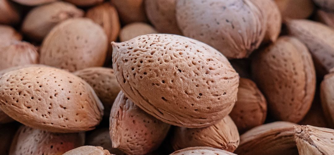 Australia/Almendras: Vietnam, China, España y Turquía fueron los principales mercados para los envíos al cierre del año 2025