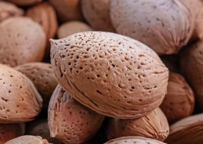 Australia/Almendras: Vietnam, China, España y Turquía fueron los principales mercados para los envíos al cierre del año 2025