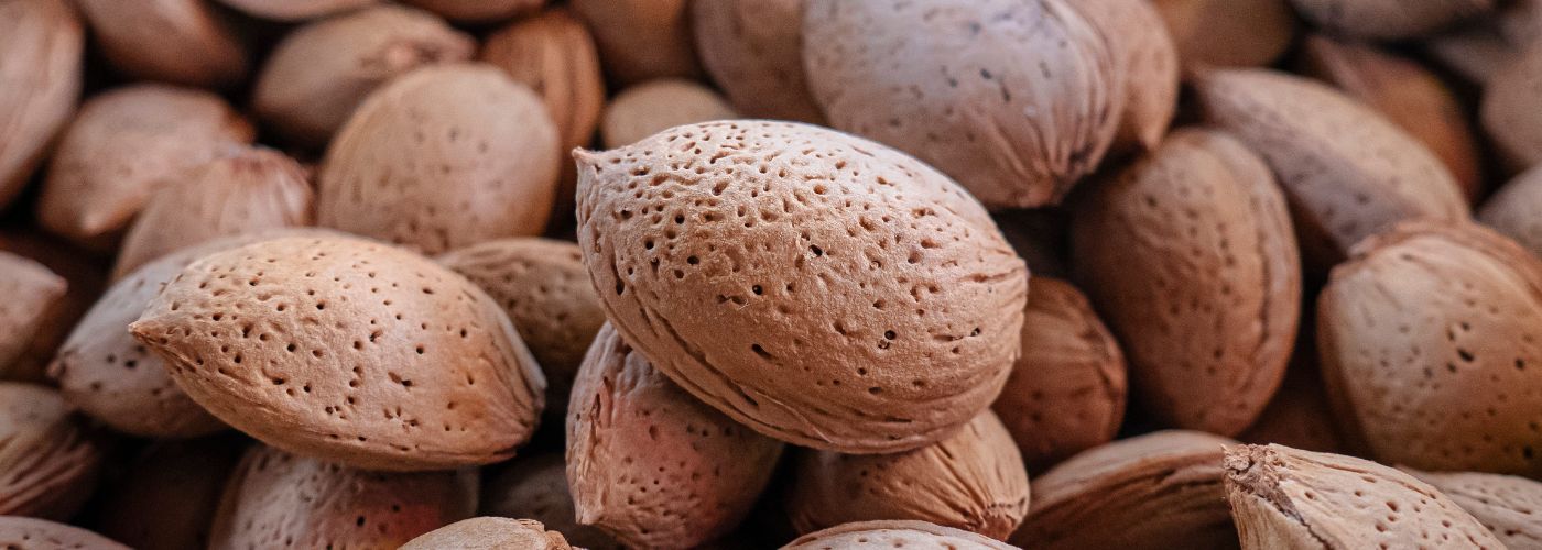 Diseño sin título – 2026-02-27T151734.471