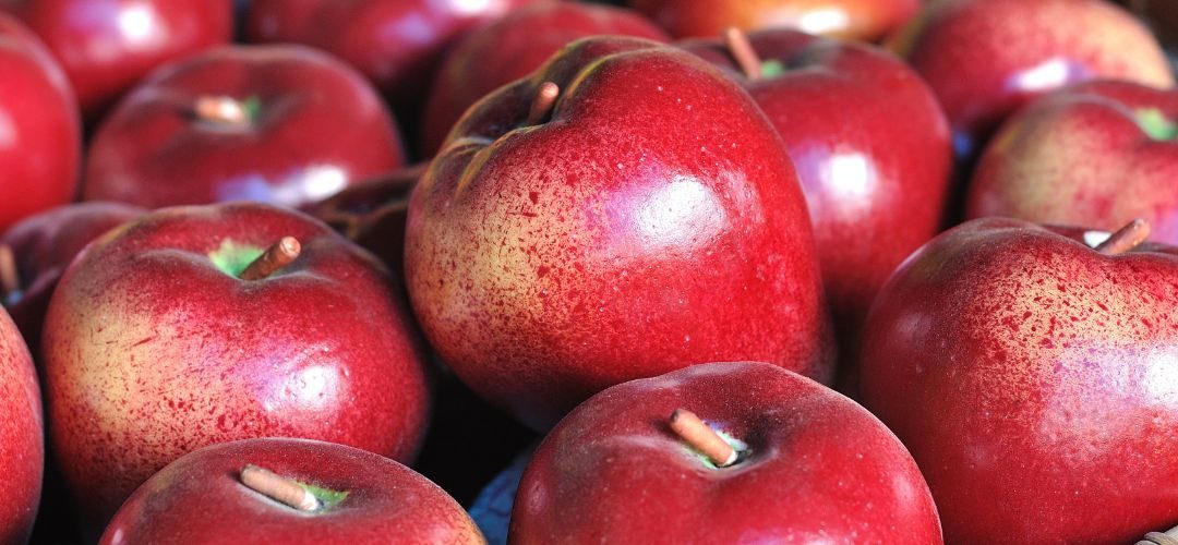 Manzanas: La industria China gana peso en producción y precios globales impulsada por la innovación varietal