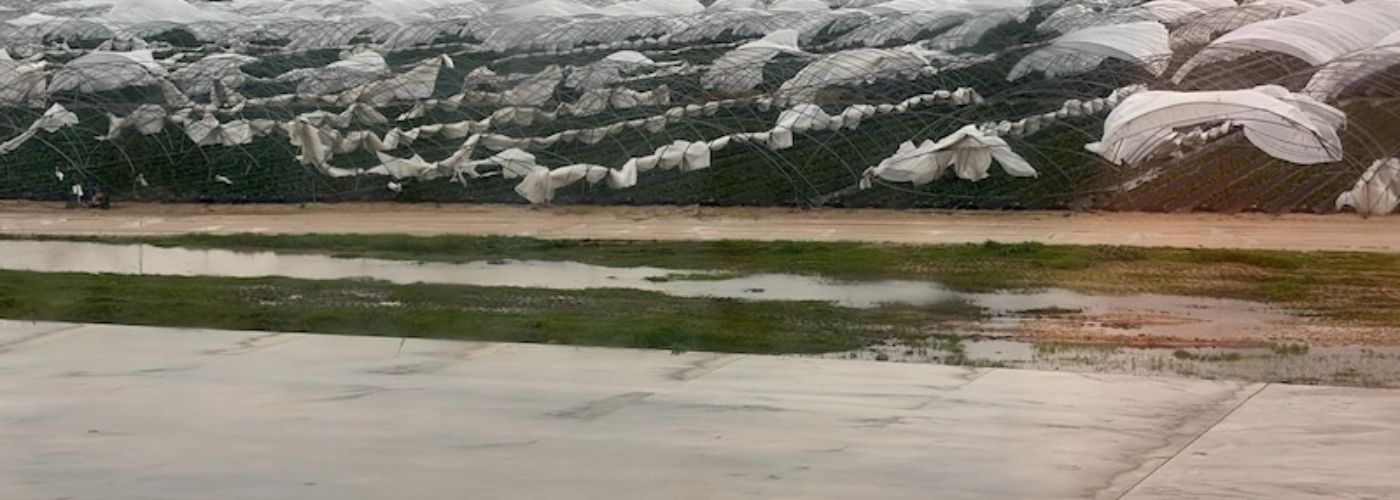 INUNDACIONES HUELVA BERRIES 2026