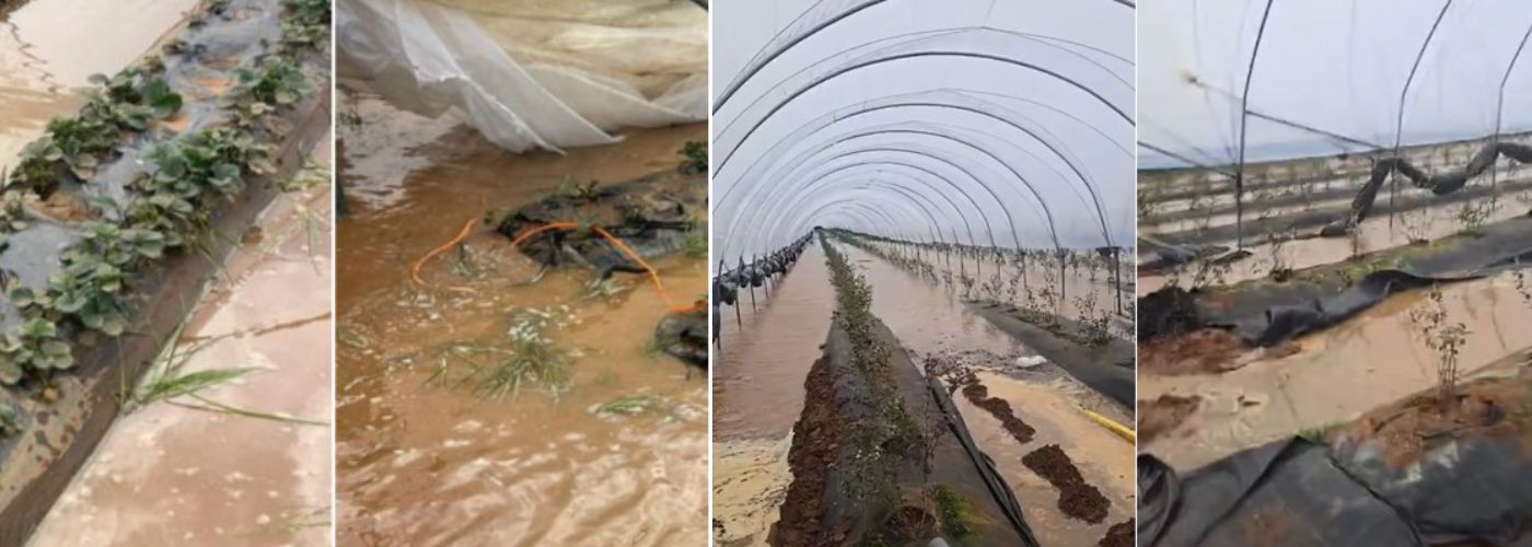 INUNDACIONES MARRUECOS FEB 2026