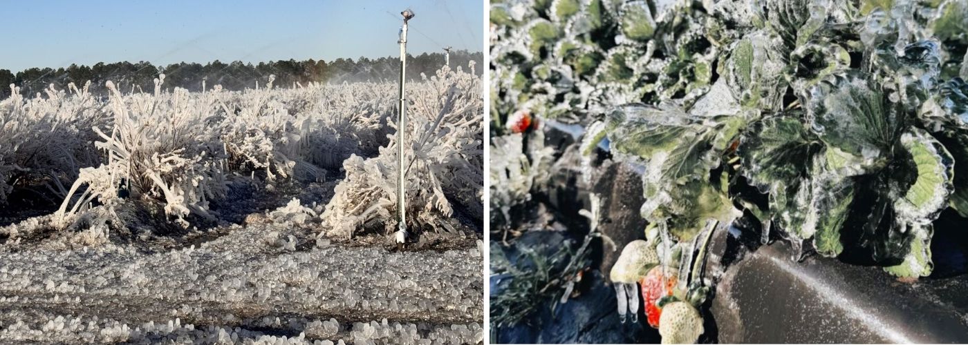 Diseño sin título – 2026-03-04T163742.690