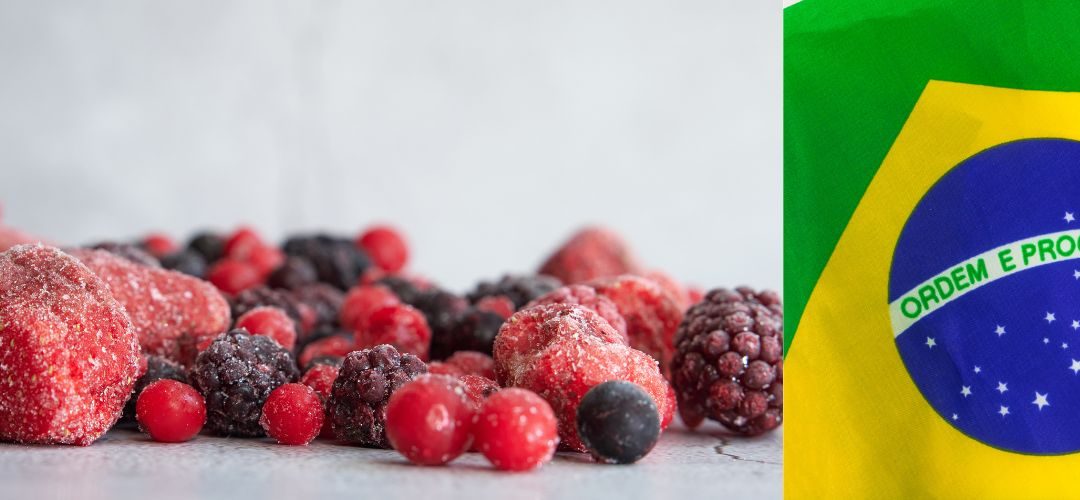 Congelados/Brasil: Importaciones de frutas y hortalizas han duplicado su valor y volumen en los últimos 10 años