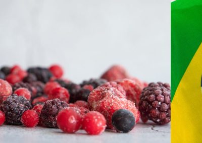 Congelados/Brasil: Importaciones de frutas y hortalizas han duplicado su valor y volumen en los últimos 10 años