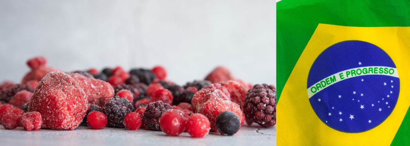 Diseño sin título – 2026-03-04T171905.020