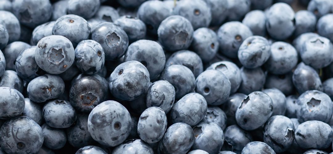 Arándanos/EE.UU: Inicio de campaña 2026 arranca con ajuste a la baja de oferta habitual