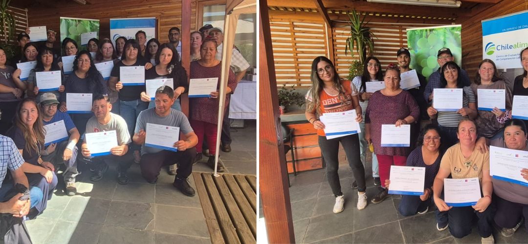 Competencias Laborales: Chilealimentos certifica a trabajadores de Subsole