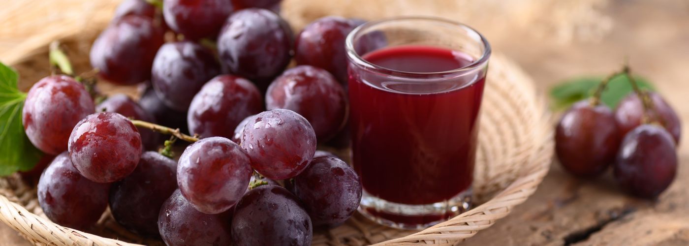 cultivos en campos frutales (21)