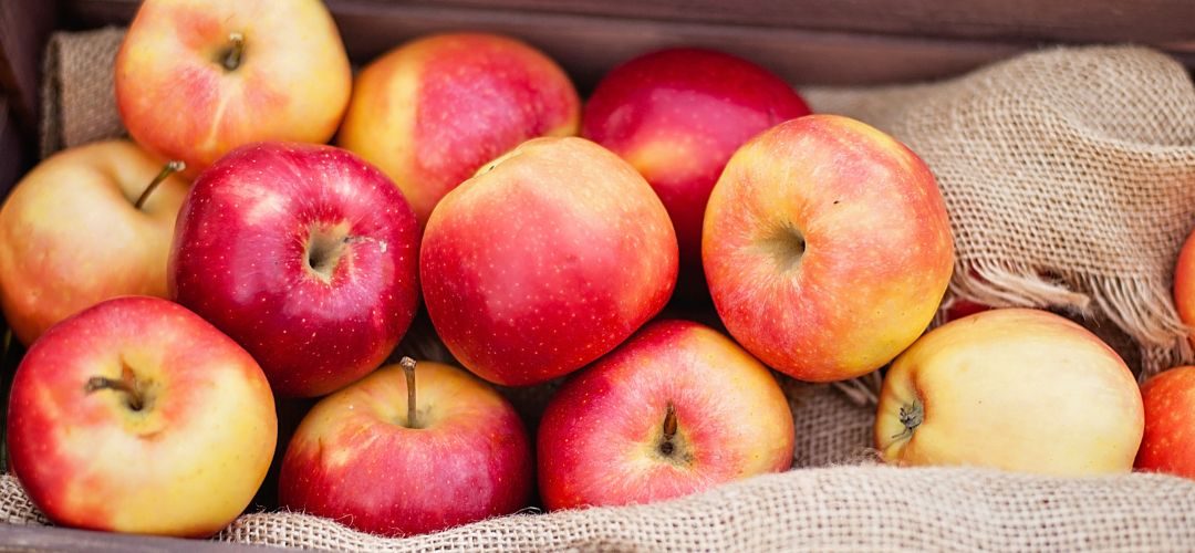 Manzanas/EE.UU: Existencias para procesamiento industrial crecen 9% al 01 de Marzo 2026