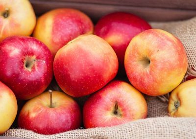 Manzanas/EE.UU: Existencias para procesamiento industrial crecen 9% al 01 de Marzo 2026