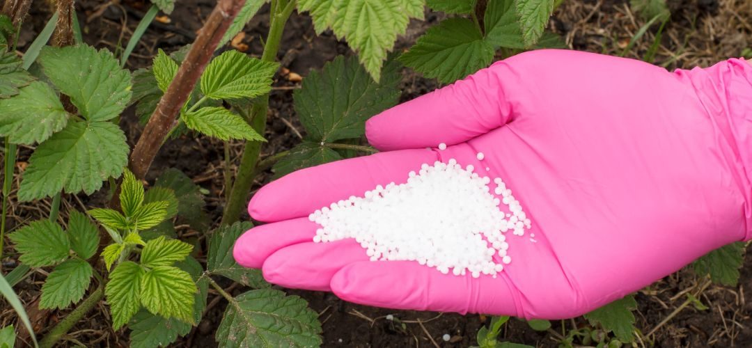 Alimentos: Conflicto bélico en el golfo pérsico comienza a golpear la seguridad alimentaria global