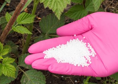 Alimentos: Conflicto bélico en el golfo pérsico comienza a golpear la seguridad alimentaria global