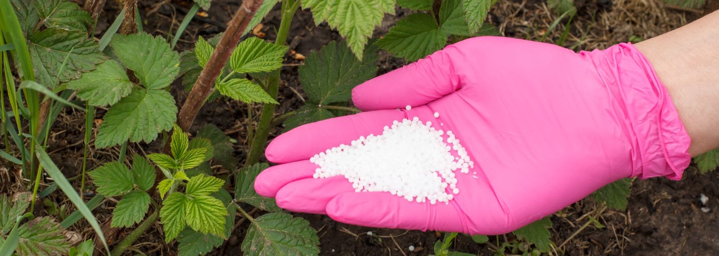 cultivos en campos frutales (26)