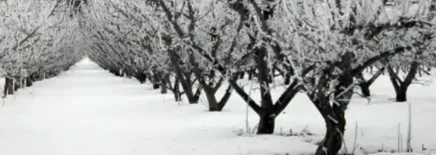 HELADA VINNYTSIA UCRANIA HELADA VINNYTSIA UCRANIA