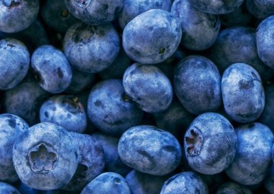 México impulsa la producción de arándanos y alcanzará 85 mil toneladas en 2026