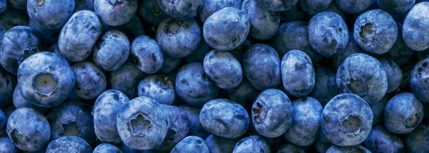 ARANDANO LOTES ARANDANO LOTES