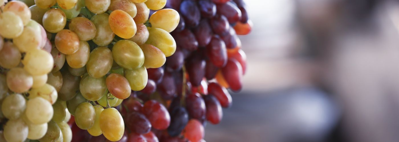 UVAS DE MESA UVAS DE MESA