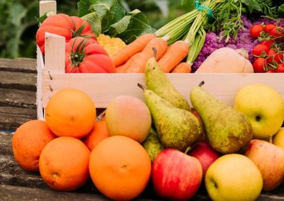 Análisis: El clima se convertirá en el principal factor de competitividad del sector hortofrutícola en los próximos 20 años