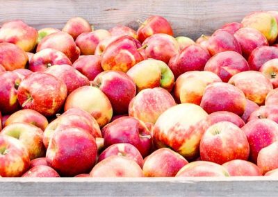 Polonia/Manzana Industrial: Sobreoferta y altos costos energéticos hunden los precios a marzo 2026