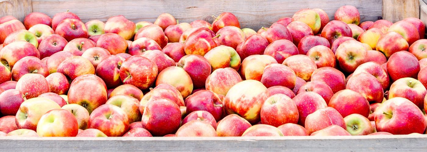 MANZANA INDUSTRIAL MANZANA INDUSTRIAL