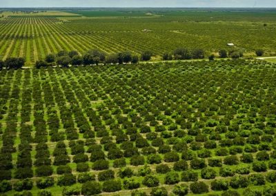 Ucrania: Programas estatales impulsan financianciamiento hasta el 80% de los costos para huertos hortofrutícolas e invernaderos