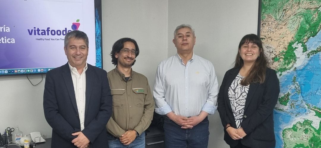 Programa conjunto ENEL X y Trivium energía impulsado por Chilealimentos permitió detectar ahorros energéticos de hasta 30% en plantas de Vitafoods en Molina y Colbún