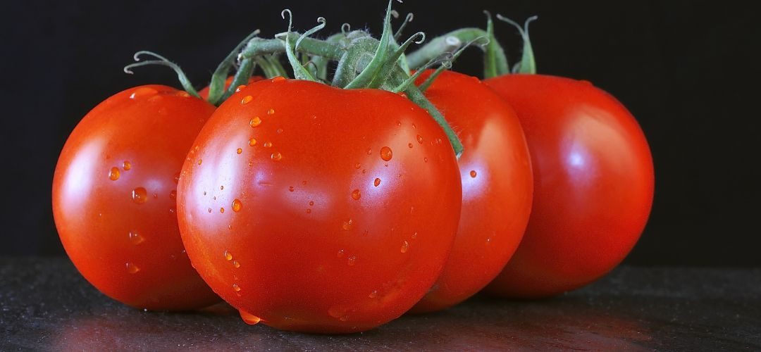 WPTC/Tomate Industrial: Argentina y Chile lideran oferta del hemisferio sur, mientras Australia y Perú ajustan sus volúmenes al 06 de marzo