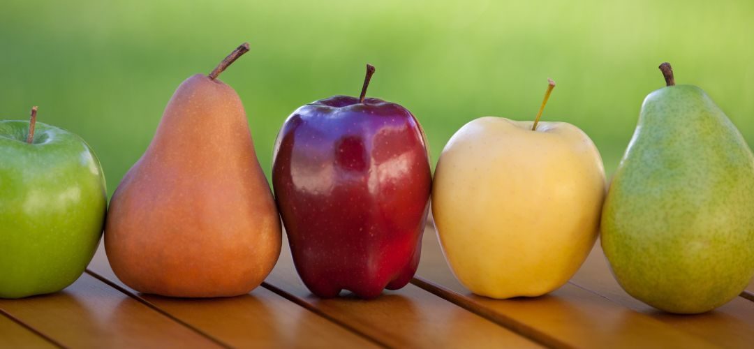 WAPA/Hemisferio Norte: Stock de manzanas crece 13% y las peras 16% al 01 de Febrero 2026