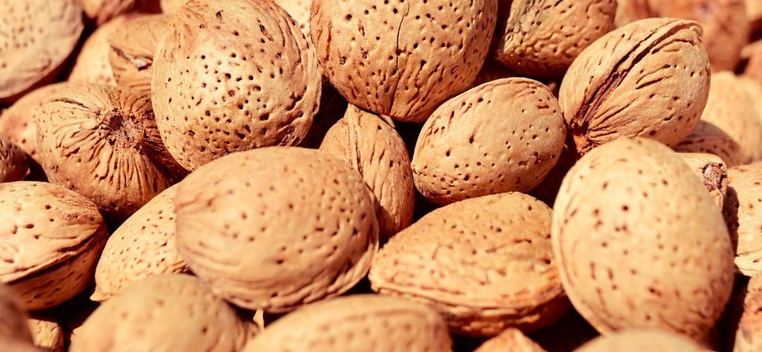 Almendras/EE.UU: Tensiones con China provocan que los envíos se redireccionen a India, Europa, Turquía, Marruecos y VietNam