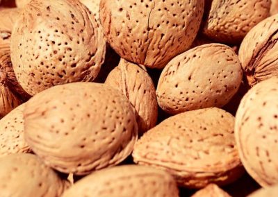 Almendras/EE.UU: Tensiones con China provocan que los envíos se redireccionen a India, Europa, Turquía, Marruecos y VietNam