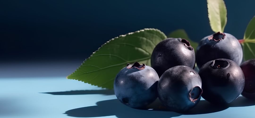 Perú/Arándanos: Superficie total alcanza las 26.768 hectáreas