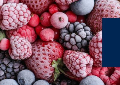 Frutas Congeladas/Francia: Valor de las importaciones se duplica en la última década y alcanzaron US$ 613 millones en 2025