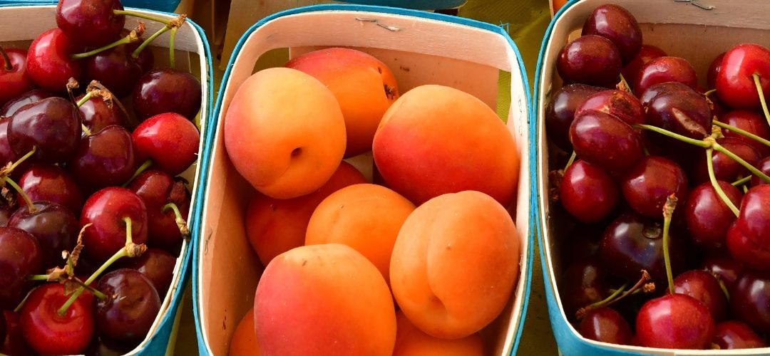 Carozos/España: Se prevé una reducción del 30% en cerezas y 50% en damascos en 2026