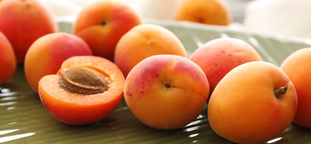 Damascos/Europa: Europech estima un aumento del 6% en la producción 2026