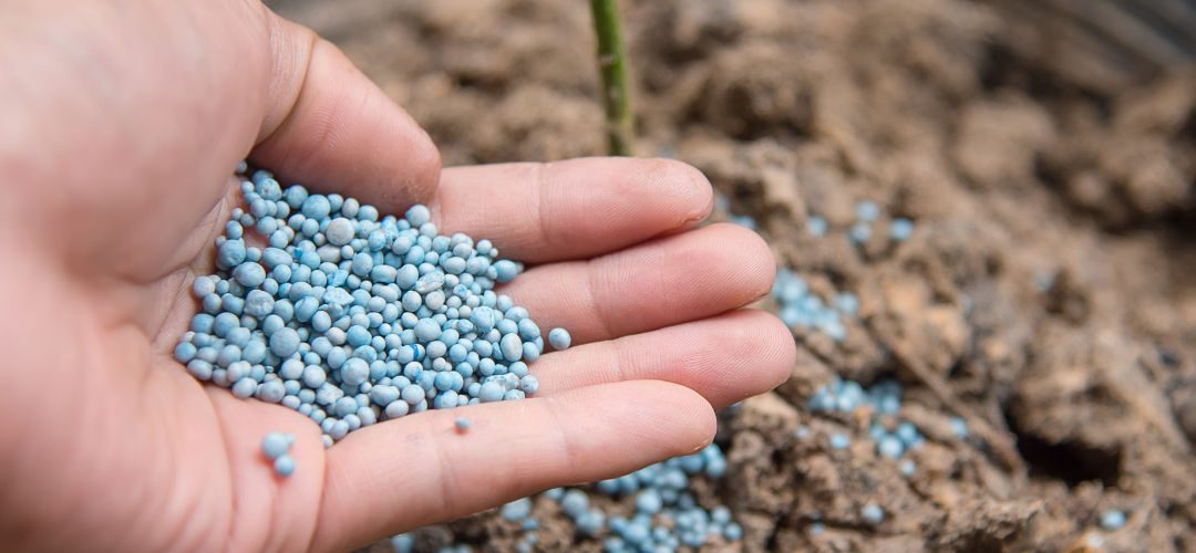 Conflicto en Medio Oriente impulsa alzas de hasta 40% en fertilizantes, especialmente los nitrogenados a marzo 2026