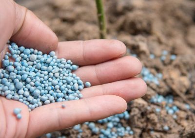Conflicto en Medio Oriente impulsa alzas de hasta 40% en fertilizantes, especialmente los nitrogenados a marzo 2026