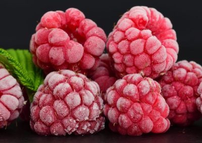 Chile/Frambuesas Congeladas: Envíos al primer trimestre 2026 superan las 6.500 toneladas y alcanzan US$ 37 millones