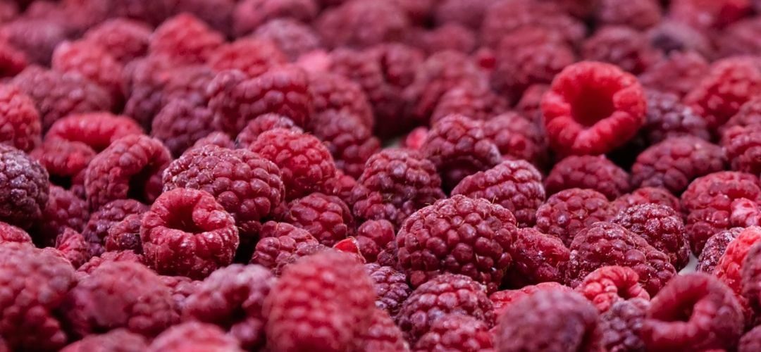 Frambuesa Congelada: Serbia apuesta por recuperar terreno con una oferta al alza en 2026/27