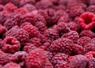 Frambuesa Congelada: Serbia apuesta por recuperar terreno con una oferta al alza en 2026/27