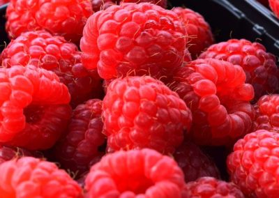 EE.UU: Frambuesas duplican su precio por caída de la oferta mexicana, costos logísticos y climatología