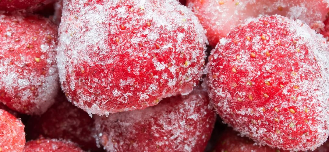 Frutillas Congeladas/Egipto: Exportaciones alcanzaron US$ 99 millones al primer bimestre 2026