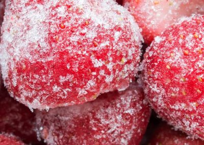 Frutillas Congeladas/Egipto: Exportaciones alcanzaron US$ 99 millones al primer bimestre 2026