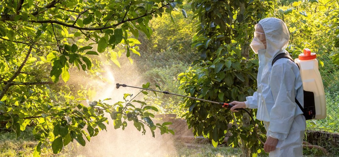 Japón propone ajustes de LMR en 6 agroquímicos para uso en frutas, vegetales y otros alimentos