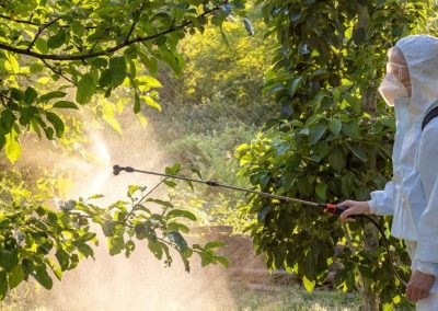 Japón propone ajustes de LMR en 6 agroquímicos para uso en frutas, vegetales y otros alimentos