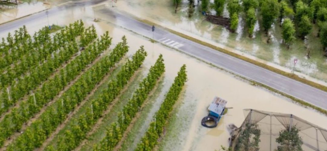 Italia: Campos inundados, granizo en los huertos y cosecha temprana dañada en Apulia, Toscana y Emilia-Romaña