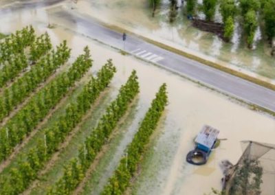 Italia: Campos inundados, granizo en los huertos y cosecha temprana dañada en Apulia, Toscana y Emilia-Romaña