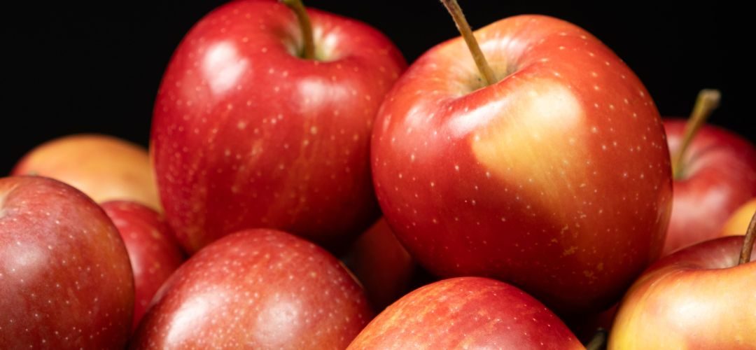 EE.UU: Se ajusta a la baja cosecha de manzanas en Washington (-8%)