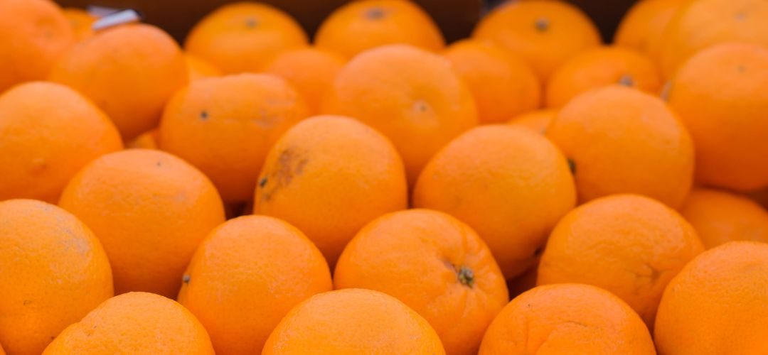 Cítricos/Brasil: Producción final de naranjas para 2025/26 se ajustó al alza y alcanzó 230,87 millones de cajas