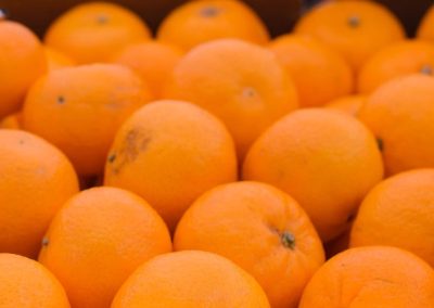 Cítricos/Brasil: Producción final de naranjas para 2025/26 se ajustó al alza y alcanzó 230,87 millones de cajas